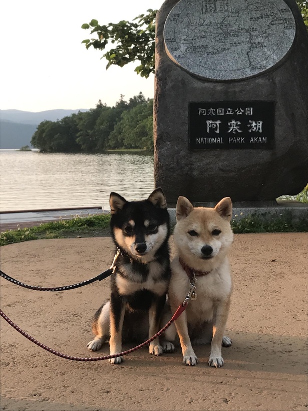 2016年に阿寒湖でパシャリ。ちょっぴりかしこまった様子