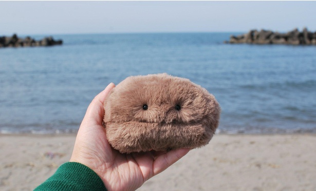 海には穏やかなコーヒー豆がよく似合う