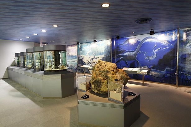 「古代水族館」では海の生き物の歴史に触れることができる