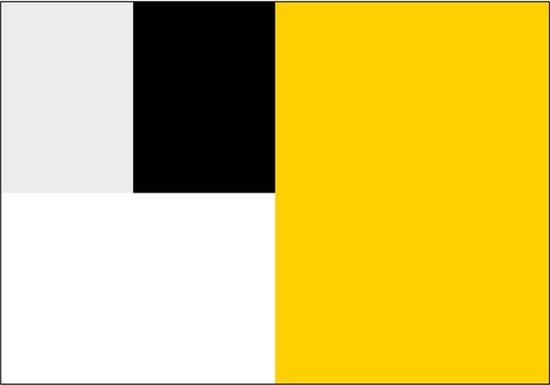 コーポレーションカラーも変更された。クロネコマークの黄色と黒をメインに、サブカラーとして白とグレーが設定された
