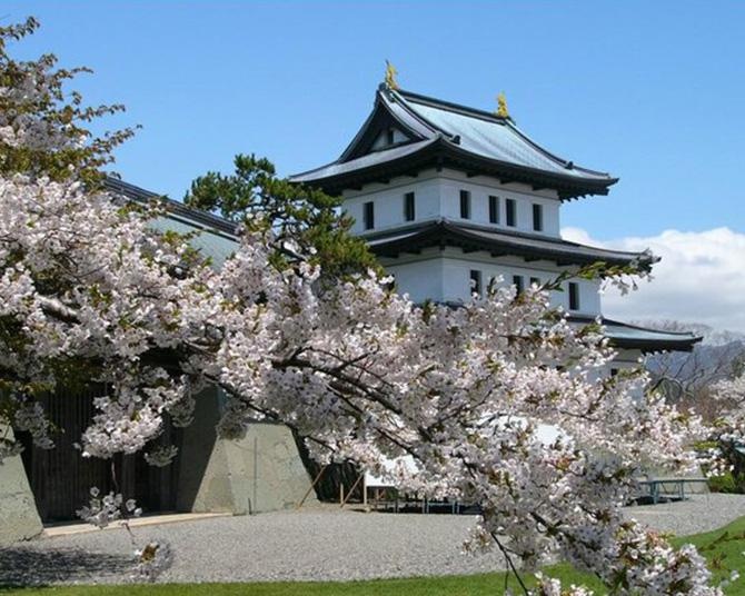 3本の名木が見られる桜の名所、北海道松前町の松前公園の桜の見頃はいつ？