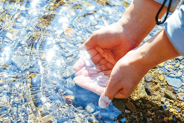 日本一の清流と言われるだけあって、水の透明度はピカイチ！