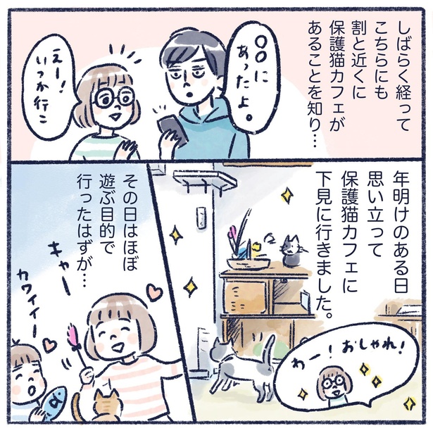 漫画 里親募集を兼ねた保護猫カフェ 猫を守るための新しい選択肢とは ウォーカープラス