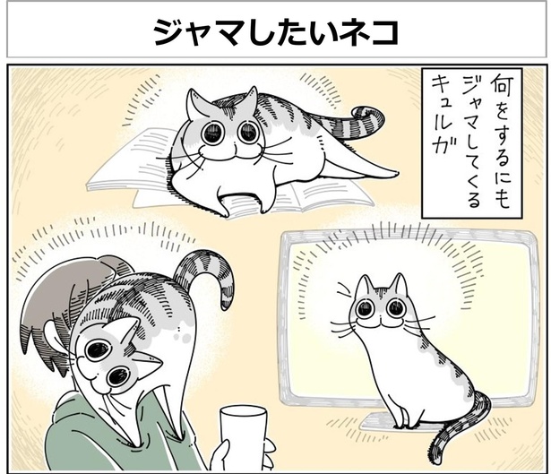 画像148 330 猫と段ボールは切っても切れない関係 片づけを邪魔する 気分屋な猫 を描いた漫画に共感の声 ウォーカープラス