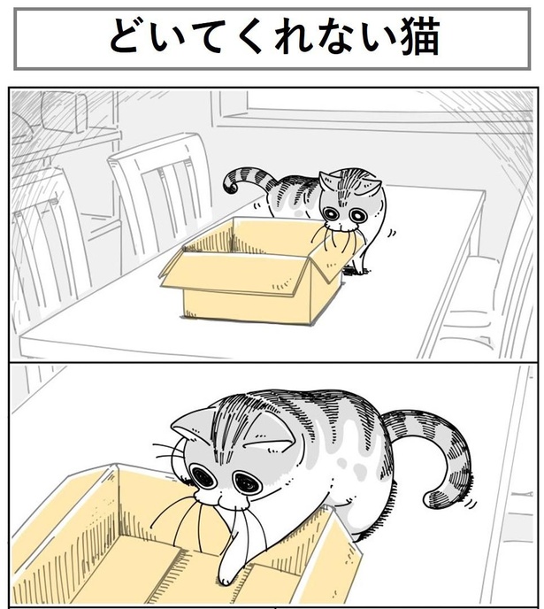 画像179 330 猫と段ボールは切っても切れない関係 片づけを邪魔する 気分屋な猫 を描いた漫画に共感の声 ウォーカープラス