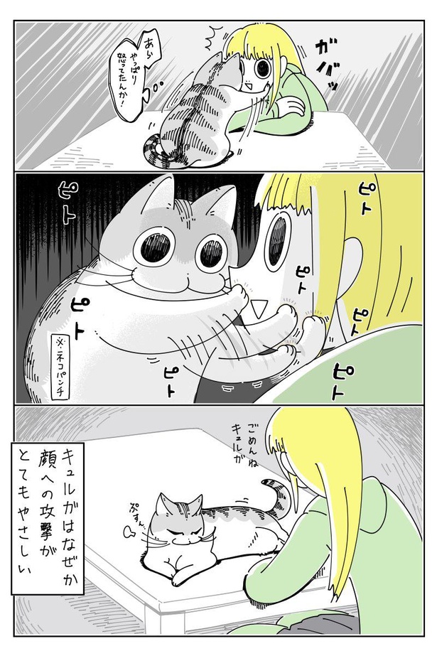 「やさしいネコパンチ」3/3