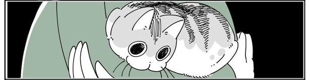 「ネコのジャマを阻止したい」10