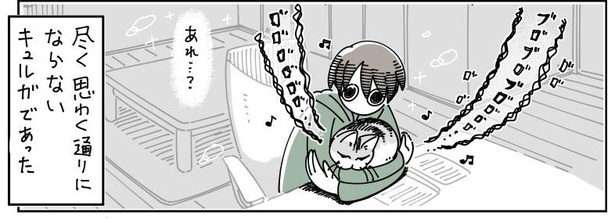 「ネコのジャマを阻止したい」11