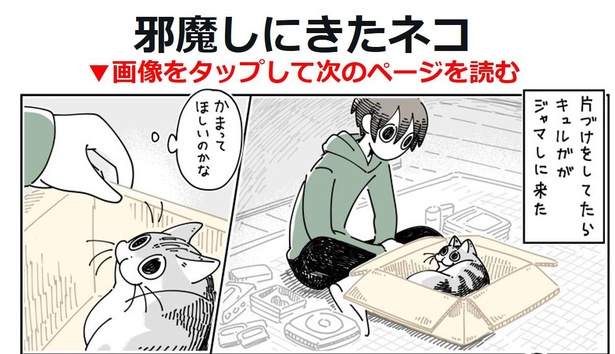 【漫画】本編を読む