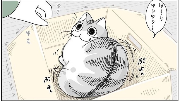 「邪魔しにきたネコ」02