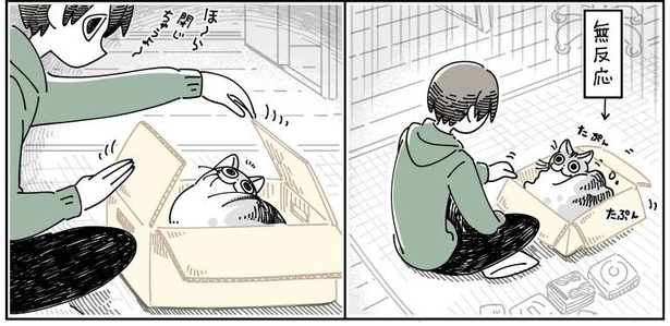 「邪魔しにきたネコ」03
