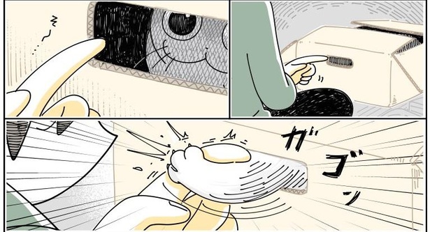 「邪魔しにきたネコ」05