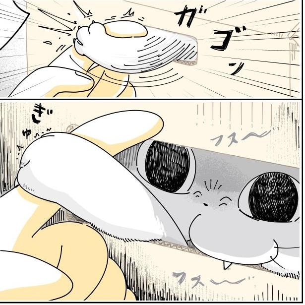 愛猫との暮らしを描くキュルZさん