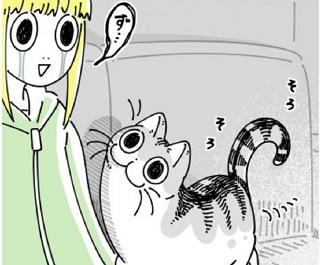 “気分屋な猫”を描いた漫画に共感「猫と段ボールの関係」