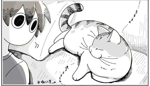 画像127 324 愛猫家の あるある 声が聞こえる 猫の高いところ あるある を描いた漫画に共感ラッシュ ウォーカープラス