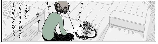 「ネコにじゃらしてもらう」03