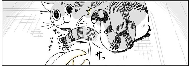 「ネコにじゃらしてもらう」05