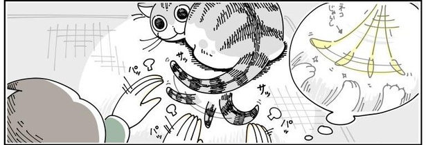 「ネコにじゃらしてもらう」06