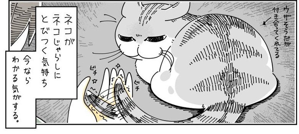 「ネコにじゃらしてもらう」07