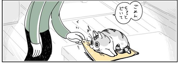 「たまに図太いネコ」03