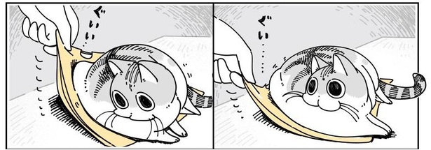 「たまに図太いネコ」04