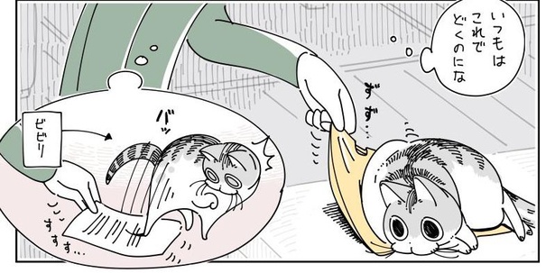 「たまに図太いネコ」06