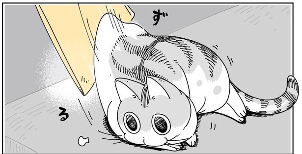 「たまに図太いネコ」07