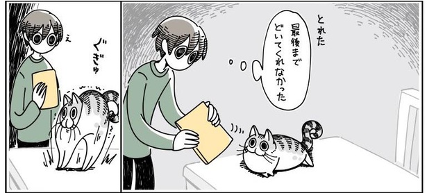 「たまに図太いネコ」08