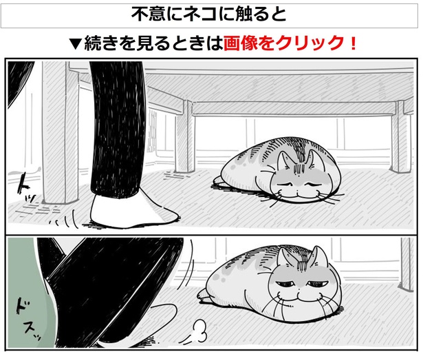 「不意にネコに触ると」01