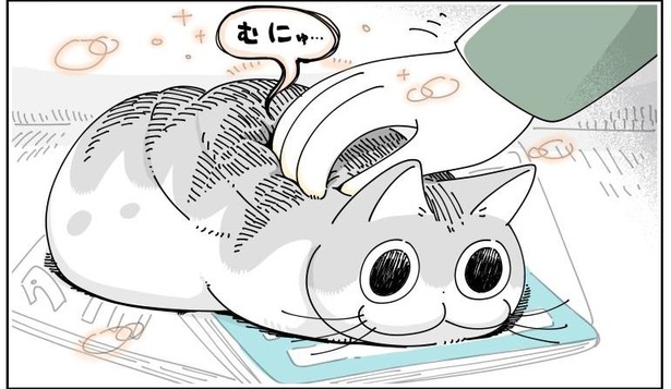「不意にネコに触ると」08
