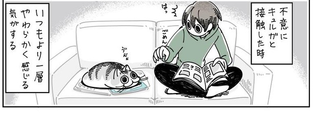 「不意にネコに触ると」09