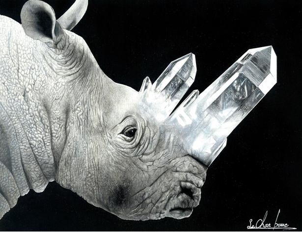 画像3 24 リアルな動物 宝石が神秘的 色鉛筆で描かれる繊細なイラスト ウォーカープラス