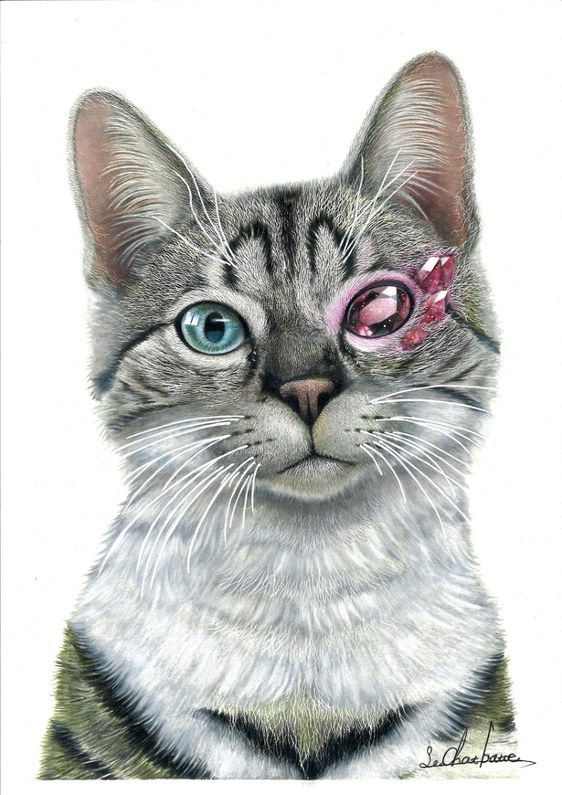 画像8 24 リアルな動物 宝石が神秘的 色鉛筆で描かれる繊細なイラスト ウォーカープラス