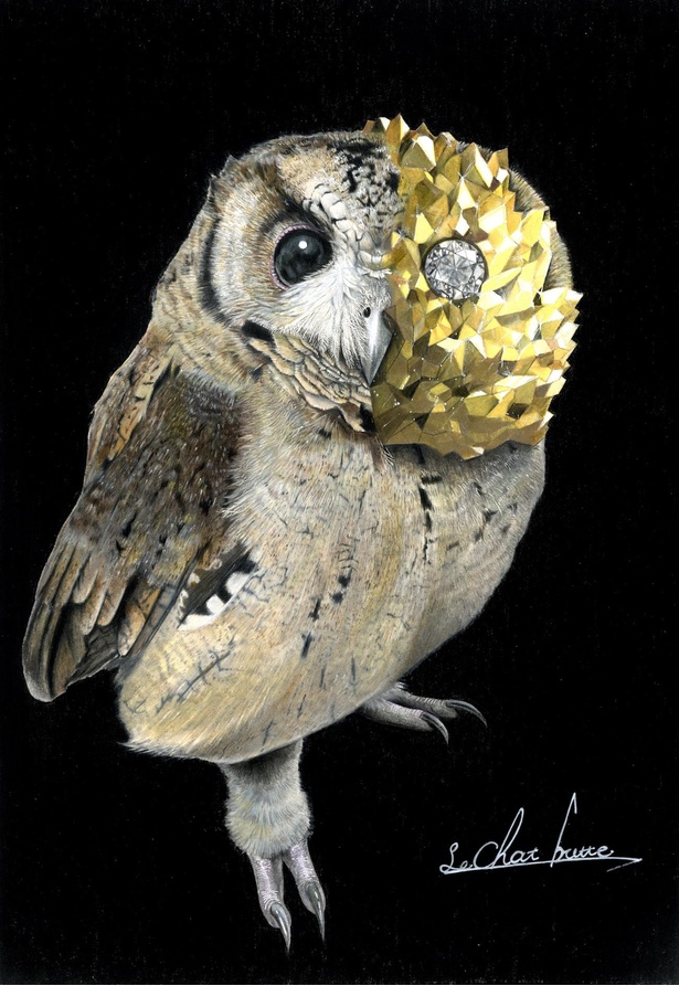 画像21 24 リアルな動物 宝石が神秘的 色鉛筆で描かれる繊細なイラスト ウォーカープラス