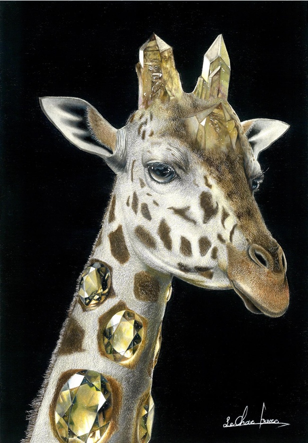 リアルな動物 宝石が神秘的 色鉛筆で描かれる繊細なイラスト ウォーカープラス