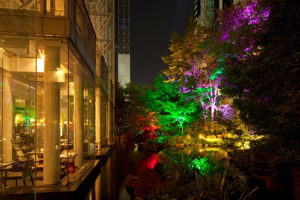 夜は光の演出で幻想的な雰囲気に