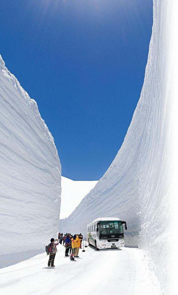 雪の多い年には高さ20メートルにも迫る雪の大谷