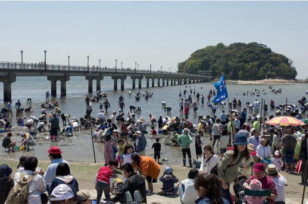 砂遊びやカニなど海の生き物にも出会える
