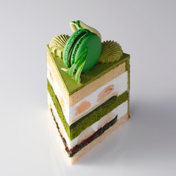 新edo 抹茶ショートケーキ