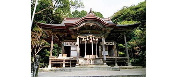 仁比山神社は、九年庵のすぐ隣に位置。神社から九年庵へと続く参道にある樹齢100年のモミジも見もの