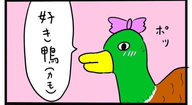 好き鴨(2)