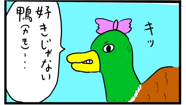 好き鴨(4)