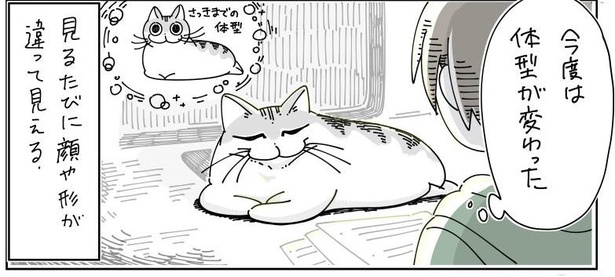 猫は液体 愛猫を もち上げたいけどもち上げられない 漫画に共感の嵐 ウォーカープラス