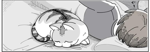 「不意にネコに触ると」04