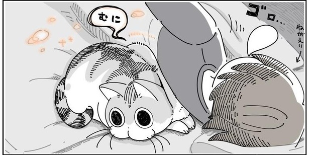 「不意にネコに触ると」05