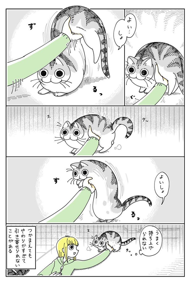 猫は液体 愛猫を もち上げたいけどもち上げられない 漫画に共感の嵐 ウォーカープラス