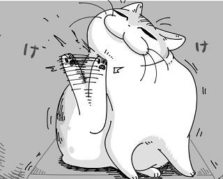 「猫は液体…？」愛猫を“もち上げたいけどもち上げられない”漫画に共感の嵐