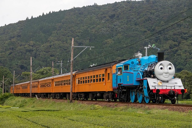 大井川鐵道をトーマス号が駆け抜ける！きかんしゃトーマスに会いに行こう | キャラWalker - ウォーカープラス