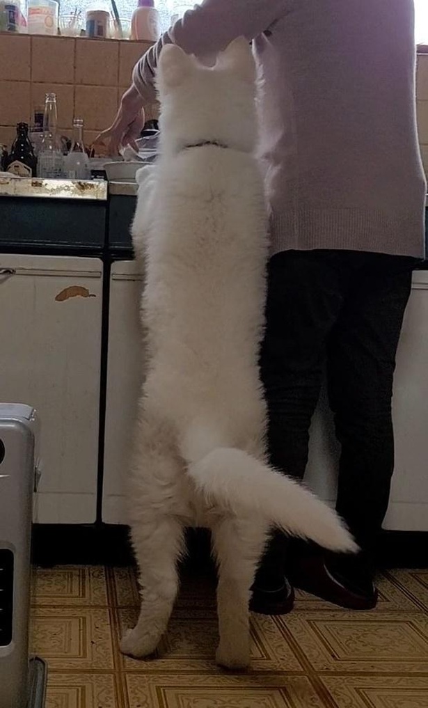 【写真】2月のヒカルくん。成長具合が歴然
