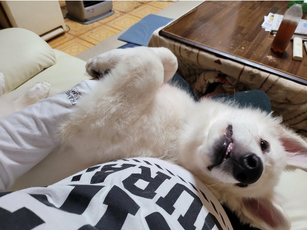 甘えたようなヒカルくん
